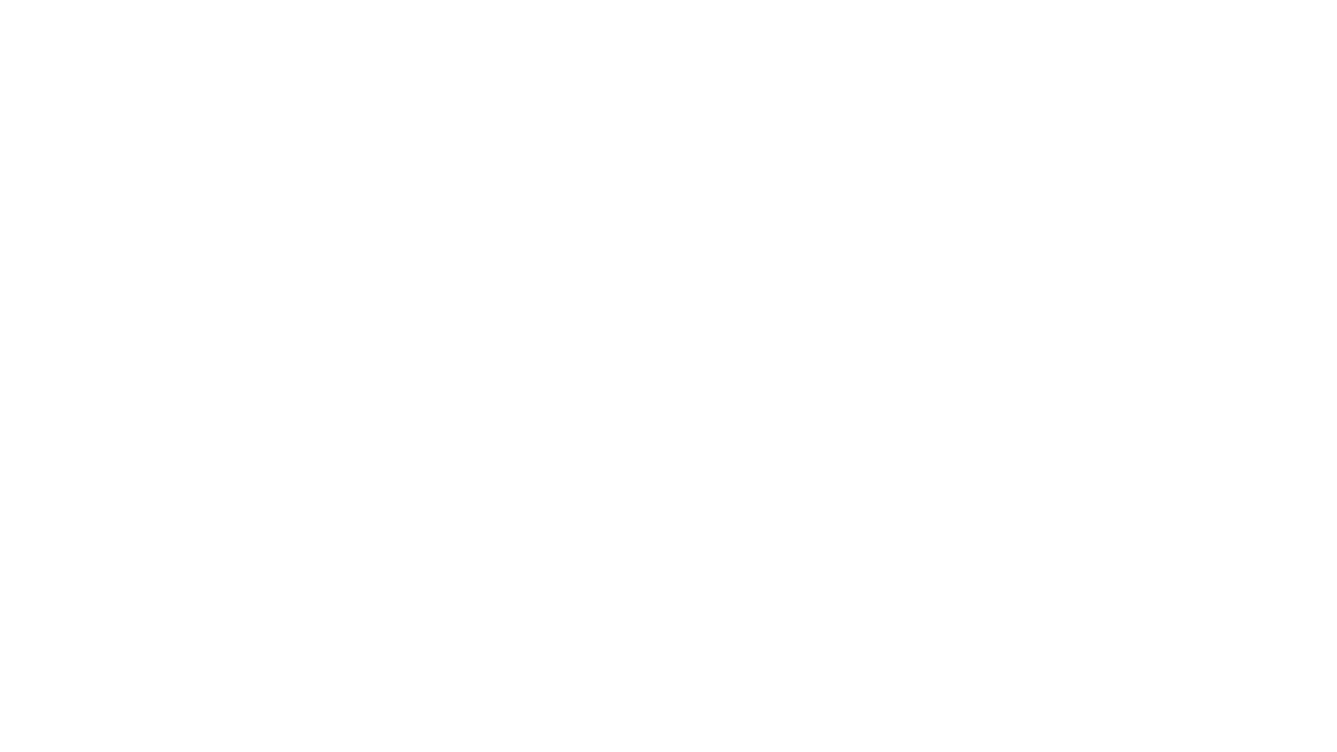 ZS HYBRID+